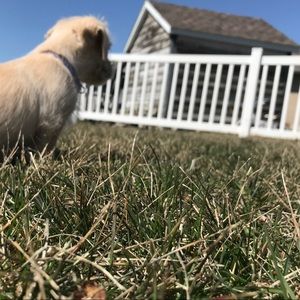 Meet your Posher, Aubrey